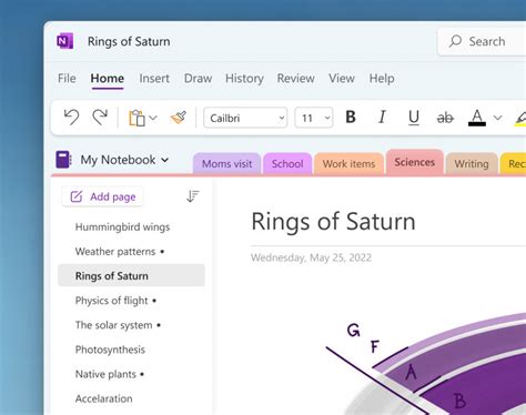 microsoft office onenote|Step One in Creating Your Family History Book .